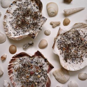 mermaid candle | seashell candle